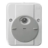 MERTEN 544829 Interrupteur crépusculaire ARGUS standard | gris clair