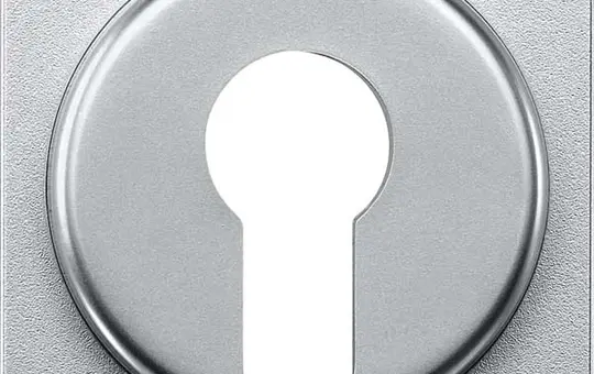MERTEN 319360 Blind Rotary Knob System M for key switches | aluminum
