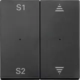 MERTEN MEG5227-0414 Rocker for Push-Button Module PlusLink System M 2-fold, arrows & scene | anthracite