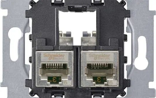 MERTEN MEG4576-0022 Plaque de montage avec module de connexion RJ45 2 voies, Cat. 6a
