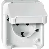 MERTEN MEG2300-8019 SCHUKO socket AQUASTAR 1-fold, contact protection | polar white