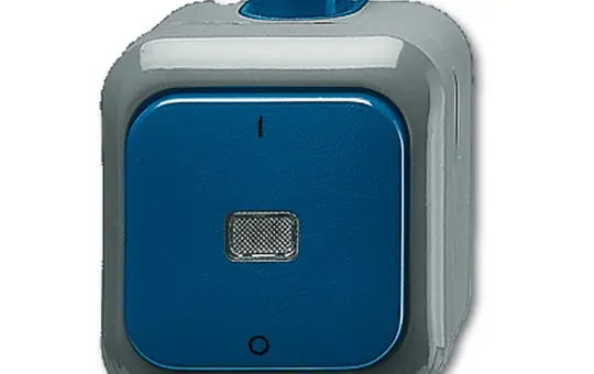 BUSCH-JAEGER 2601/2 WDI Control Switch Duro 2000 WDI Off switch, 2-pole