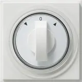 GIRA 066666 Cache pour minuterie TX_44 Flèches | blanc pur