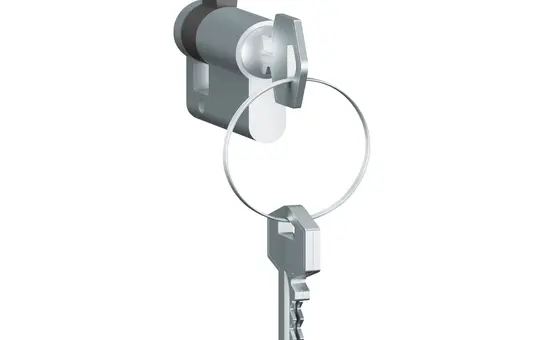 LEGRAND 69795 Soliroc Half Cylinder 40 mm