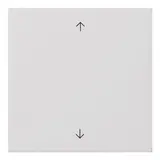 GIRA 5389112 switch cover S3000 system flat surface 1-fold, arrow symbols | pure white shiny