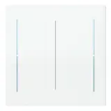 BUSCH-JAEGER LFW/A.2.70.11-44G Bascule pour clavier art 2 fois | blanc studio brillant