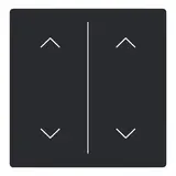 BUSCH-JAEGER LFAW/A.2.63.11-885 Bascule pour Keypad future 2 fois, flèches | noir mat