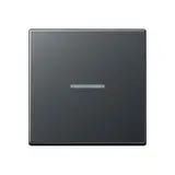 JUNG BTA17101BFANM Touch Sensor JUNG HOME Series A 1-fold | anthracite matt