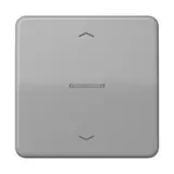 JUNG BTCD17101PGR touch sensor with description JUNG HOME series CD 1-fold, arrows | gray