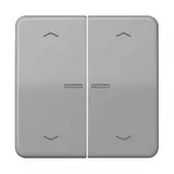 JUNG BTCD17102PGR capacitive touch sensor HOME series CD 2-fold, arrows | gray