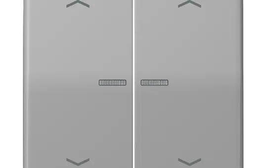 JUNG BTCD17102PGR capacitive touch sensor HOME series CD 2-fold, arrows | gray
