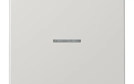 JUNG BTLS17101LG Capteur tactile JUNG HOME Série LS célibataire | gris clair