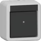 GIRA 310630 Surface-mounted rocker switch IP44 Changeover switch | gray