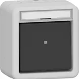 GIRA 315630 Surface-mounted rocker switch IP44 Wechsler, title block | gray