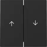 GIRA 3294005 Shutter Rocker Switch System 55 2-fold | matt black