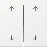 GIRA 329703 Shutter Rocker Switch System 55 2-fold, middle position | pure white shiny