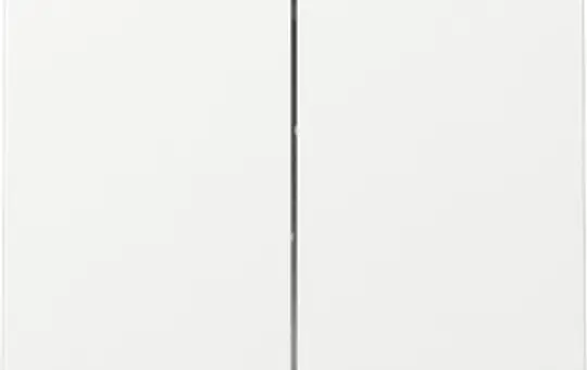 GIRA 329503 Rocker System 55 2-fold | pure white shiny