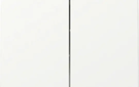 GIRA 329527 Rocker System 55 2-fold | pure white matt