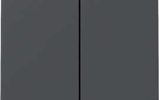 GIRA 329528 Rocker System 55 2-fold | anthracite
