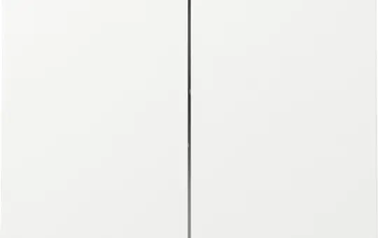 GIRA 329570 Rocker System Surface 2-fold | pure white shiny