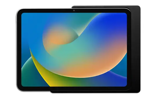 DISPLINE DSP-1-12-1009-02-C Support mural Compan. Wall Home iPad 10,9 pouces | noir revêtu par poudre