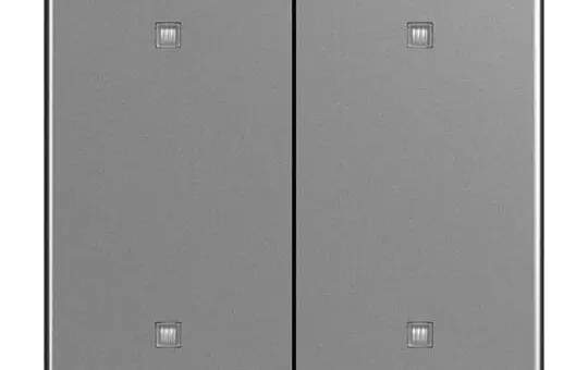 BUSCH-JAEGER 2570-20-866 Rocker for Future Electronic Push Button 2-fold | stainless steel