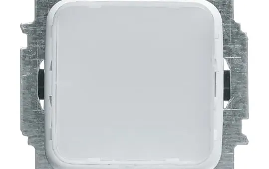 BUSCH-JAEGER 2062 U Infolight Insert Infoline standard | white