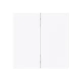 BUSCH-JAEGER 6736 FoH-44G FoH bascule art linéaire 2 fois | blanc studio brillant