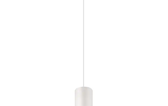 SLV 1006829 NUMINOS DALI Suspension S TRACK 55° 16 W, 2700 K, 1030 lm | blanc/blanc
