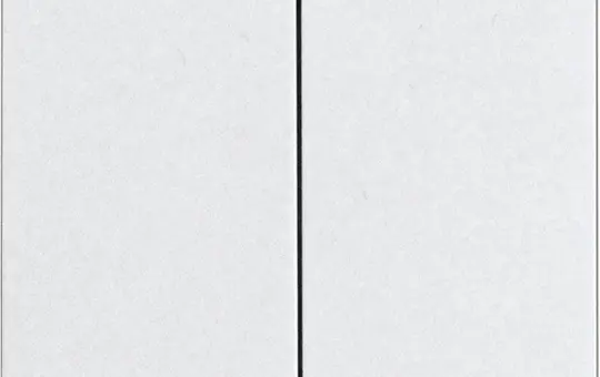 ELTAKO 30055922 Double bascule dans le design E-Design55 non gravé, pour boutons-poussoirs sans fil avec piles | anthracite mat