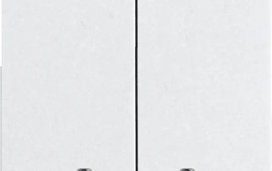 ELTAKO 30055929 Double bascule dans le design E-Design55 non gravés, pour boutons de bus | blanc pur brillant