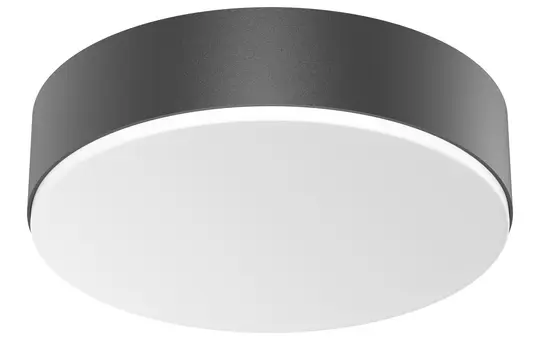 STEINEL 085339 Indoor Light RS PRO A20 SC warm white (3000K) | anthracite
