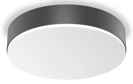 STEINEL 085346 Indoor Light RS PRO A30 SC neutral white (4000K) | anthracite