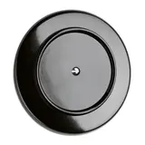 THPG 173115 Bakelite Blank Cover single | black