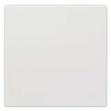 SIEMENS 5TG7141 Rocker Delta style single | titanium white