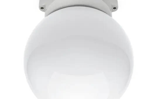 THPG 100795 Ceiling Light Globe LISILUX M, opal | white