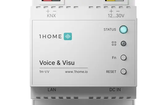 1Home Server Voice & Visuals