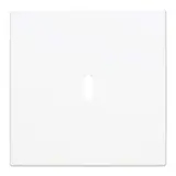 BUSCH-JAEGER 6479-914 Central Plate Charging Station Balance SI Single, USB-C | alpine white