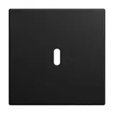 BUSCH-JAEGER 6479-915 Central Plate Charging Station Balance SI Single, USB-C | matte black