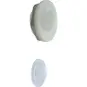 morepic-1
