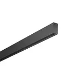 BRUMBERG 88488280 DALI Power Rail High PEPA 48 V black | 2 m