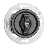 THPG 174008 Rotary Switch Porcelain Series switch | black
