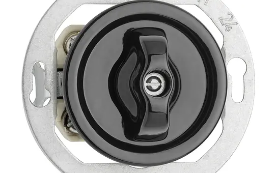 THPG 174008 Rotary Switch Porcelain Series switch | black