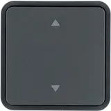 HAGER WNT942 bascule à commande pour BA AP IP55 W.1 Flèche simple | bronze brossé