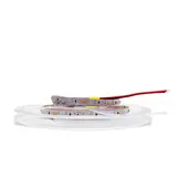 CONSTALED 30014 LED strip WW 5 m roll 10W/m