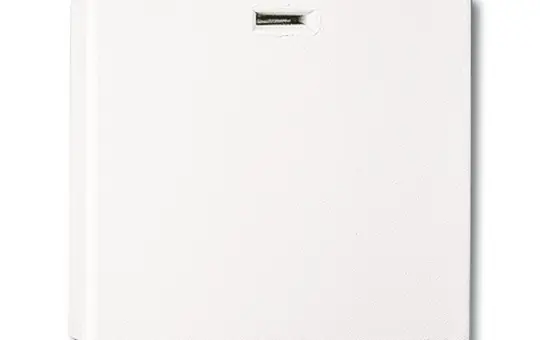 BUSCH-JAEGER 3746U-101 stove connection box UP & AP