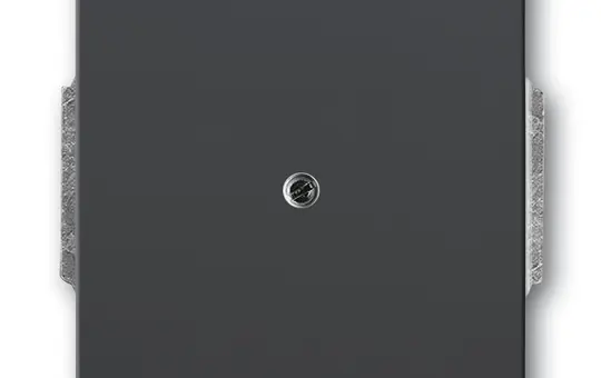 BUSCH-JAEGER 1742-81 Blind cover Future standard | anthracite