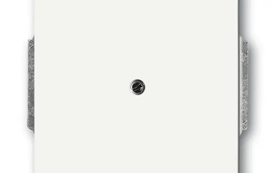 BUSCH-JAEGER 1742-884 Blind cover Future standard | studio white matt