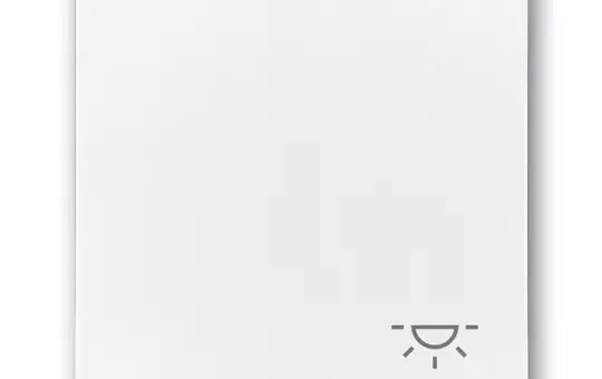 BUSCH-JAEGER 2520LI-84 descr. Seesaw Future 1-fold, light | studio white