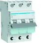 morepic-1